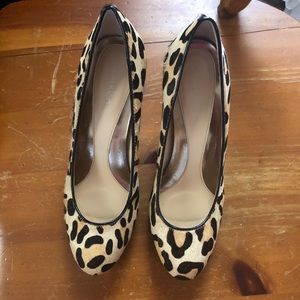 calvin klein cheetah shoes